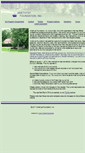 Mobile Screenshot of amethystfoundation.com
